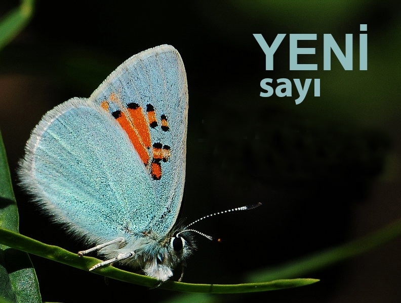 mart2014-trakel-bulteni-yayinda