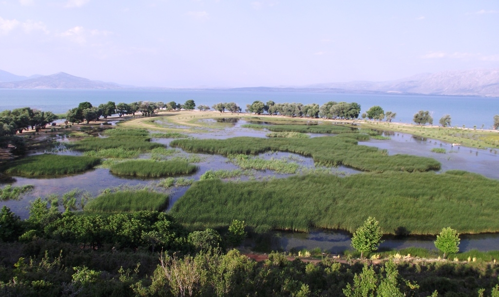 sulak-alanlar-icin-hala-umit-var