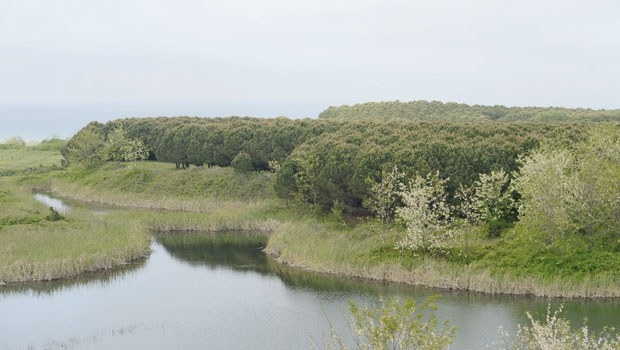 3--havalimaninin-ced-raporunda-ilginc-detaylar-var