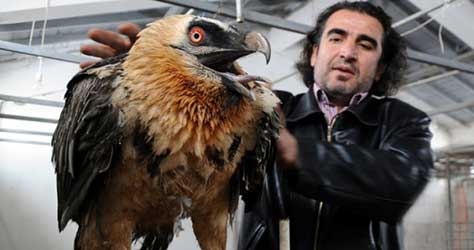 yaban-hayvanlari-onlara-emanet