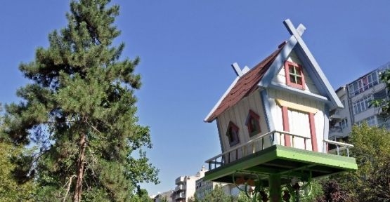 parklar-kus-yuvalari-ile-daha-guzel