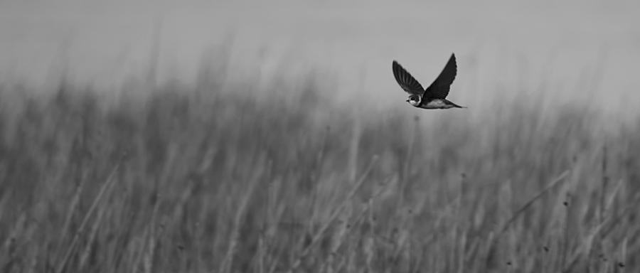 fotograf-kitaplari-3