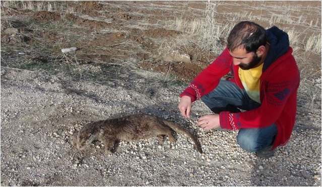 tunceli\de-su-samuru-olu-bulundu