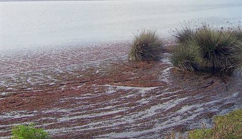 kizilirmak\ta-kuraklik-tehlikesi-