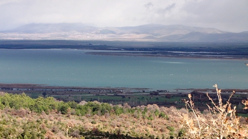 beysehir-golu-milli-parki\ndaki-kus-turleri-kitap-haline-gelecek