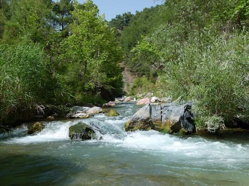 dogal-sit-alanlarinda-hes\lerin-onu-aciliyor!