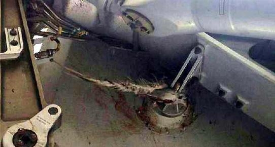 kuslar-thy\ye-jet-ihale-actirdi!