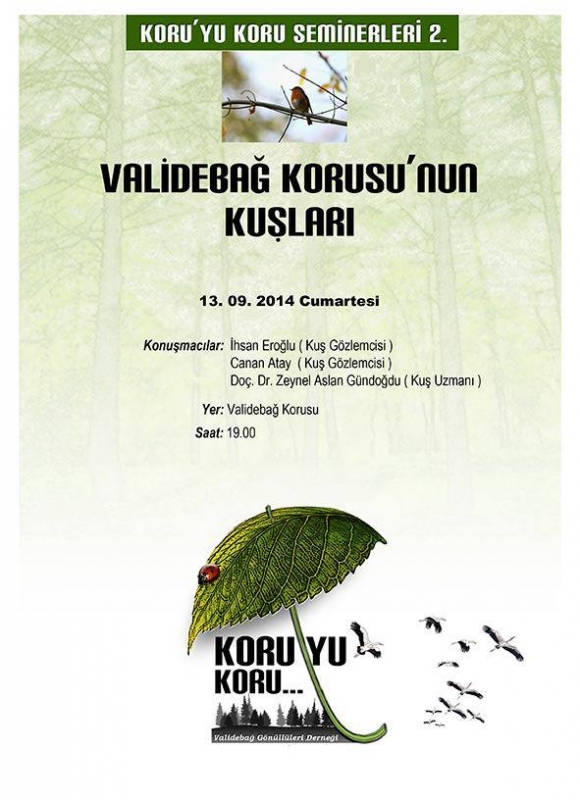 validebag-korusu\nun-kuslari