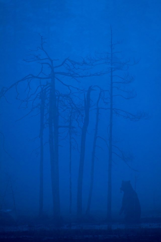 yilin-basin-fotograflari-yarismasi-sonuclandi