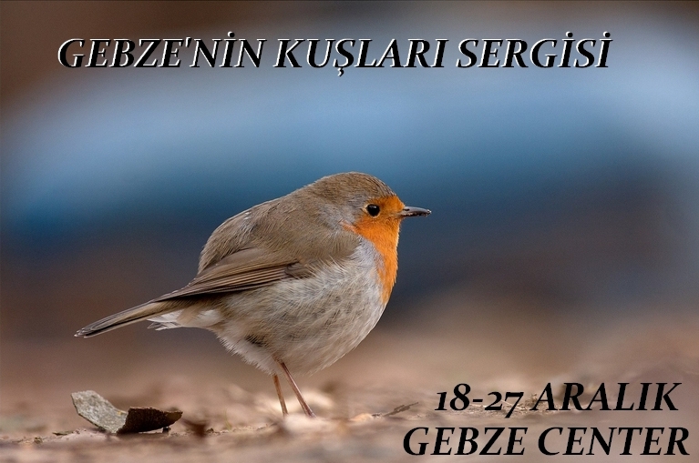 gebze\nin-kuslari-sergisi