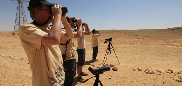 yasa-disi-kus-oldurmelerine-karsi-ileri-onlemler-