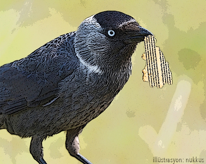 kus-yuvalarinda-saklanmis-tarih