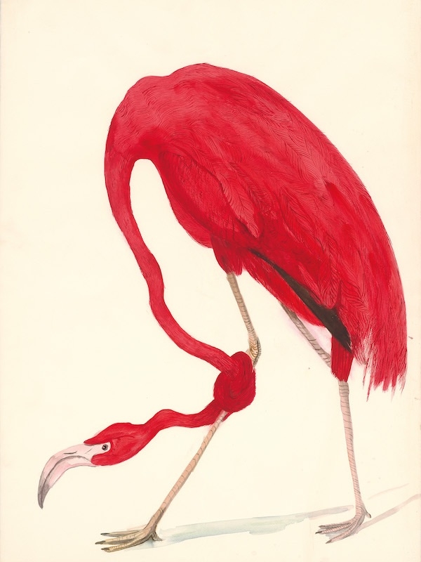 yok-olmadan-doga-ve-surdurulebilirlik-uzerine-bir-sergi