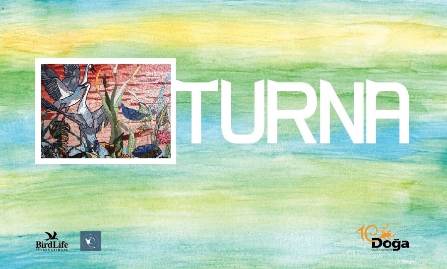 anadolu-turnalari-hakkinda