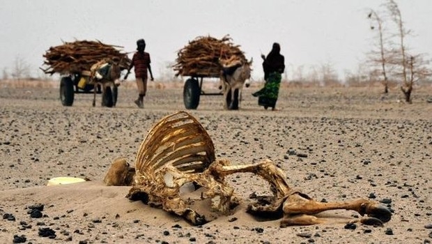 `iklim-degisikligi-yuz-binlerce-kisiyi-oldurecek`