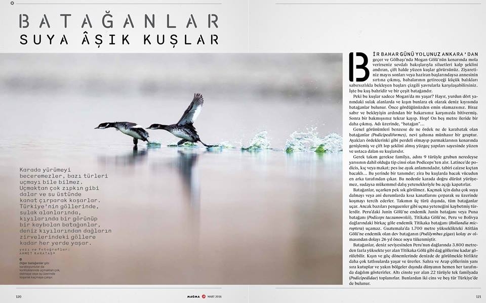 prof-dr-ahmet-karatas----mart-yazilari