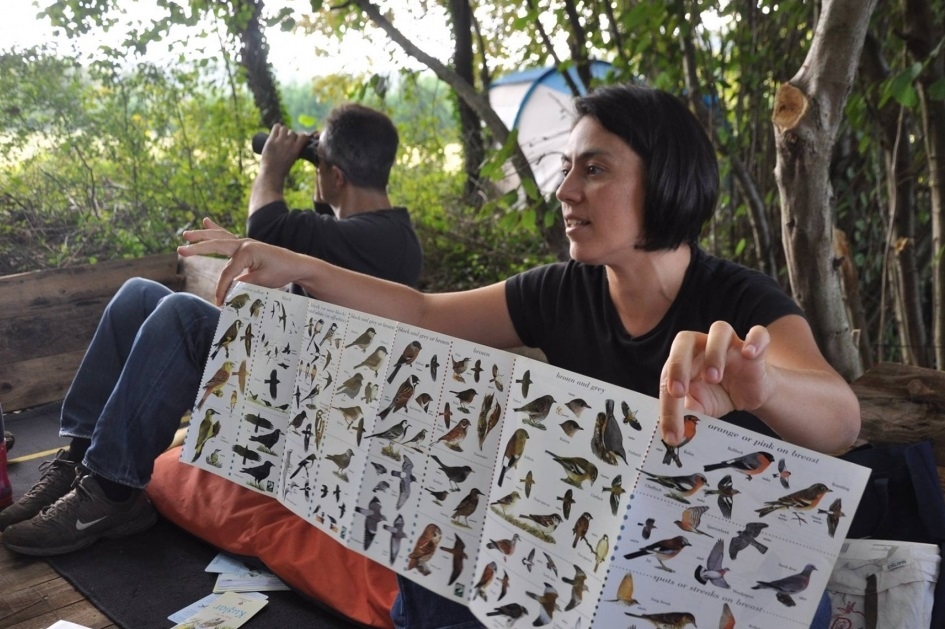 kus-gozlem-atolyesi-ve-pelet-incelemesi