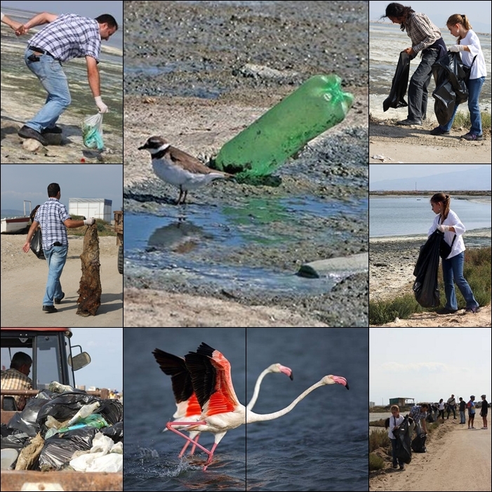 egede-kus-gozlemleri-