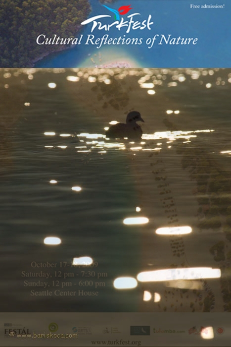 turkiye-yaban-hayati-amerikada