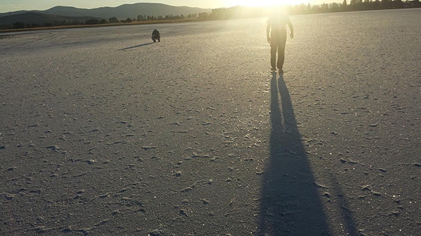 kuruyan-seyfe-golu-mahkemelik-oluyor