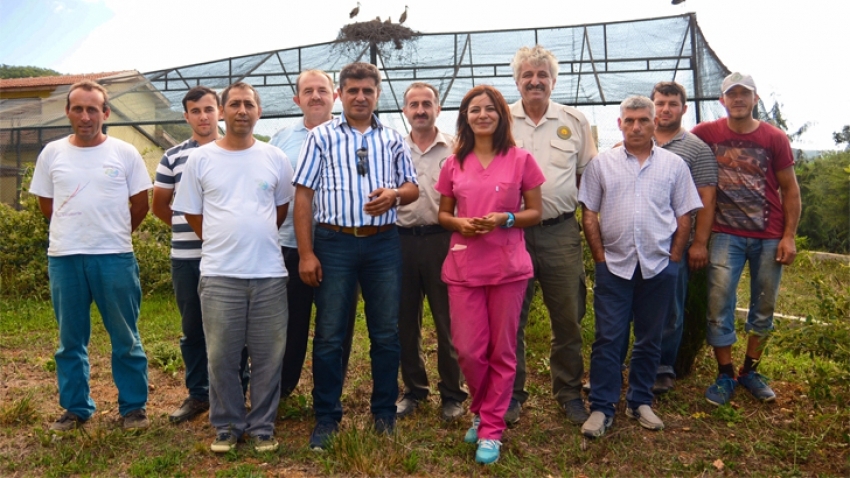 yavru-leyleklere-uvey-anne-sefkati