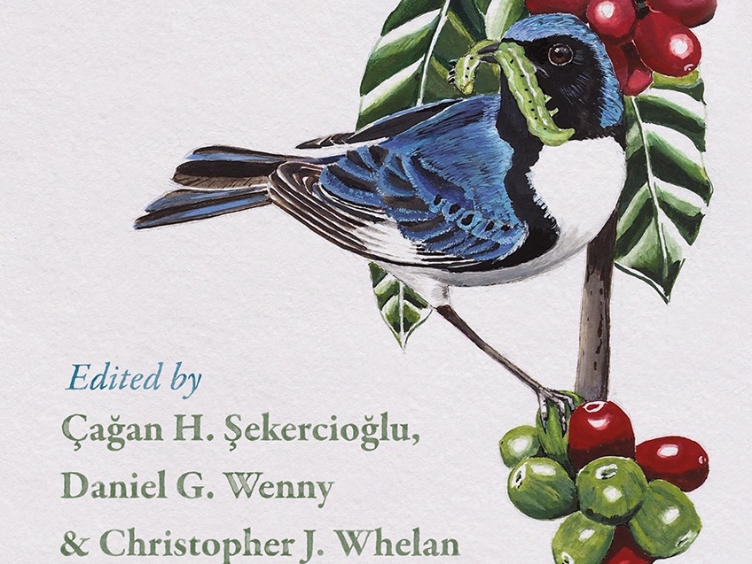 kuslarin-ekolojik-fonksiyonu-ve-ekosistem-hizmetleri