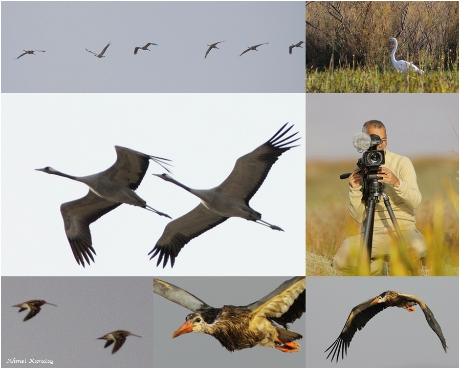 sulakalanlarimiz-belgeselde