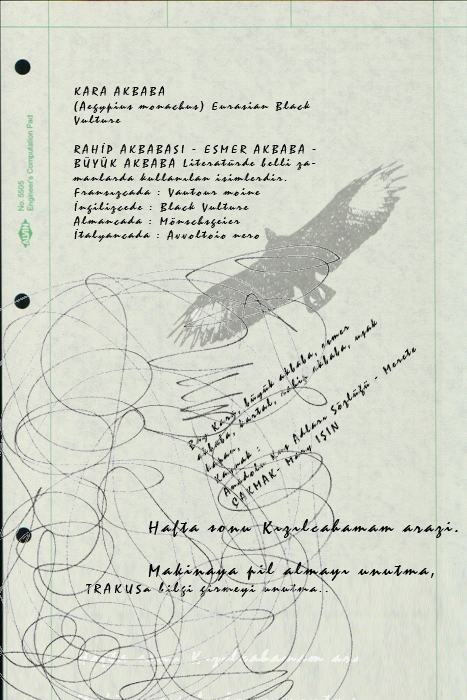 tur-sayfalari-yarsiyor-da-son-haftaya-girerken