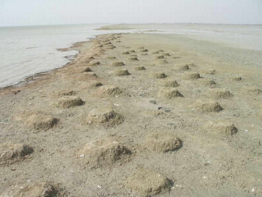 yeni-bir-flamingo-yuvalama-alani-