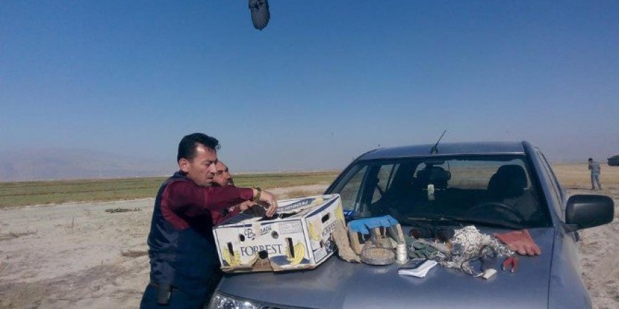 nigde\de-yirtici-kus-avcilari-yakalandi