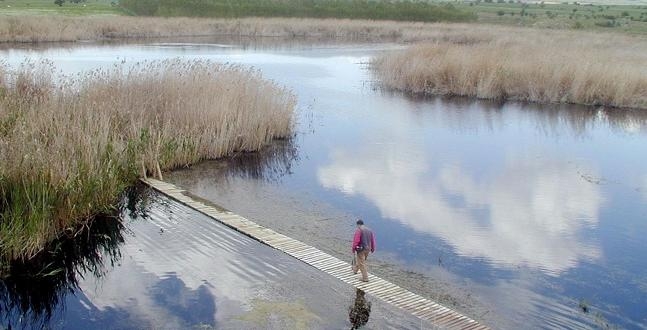 corumun-kus-cenneti-yenilenecek