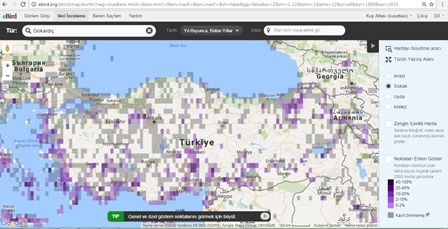 ebirdde-bir-turun-dagilim-haritasi-nasil-bulunur