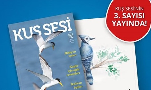 kus-sesi\nin-3--sayisi-yayinda