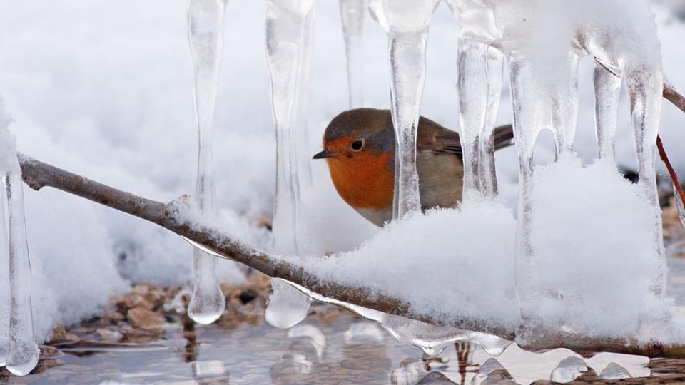 zor-kosullar-ve-beslenme