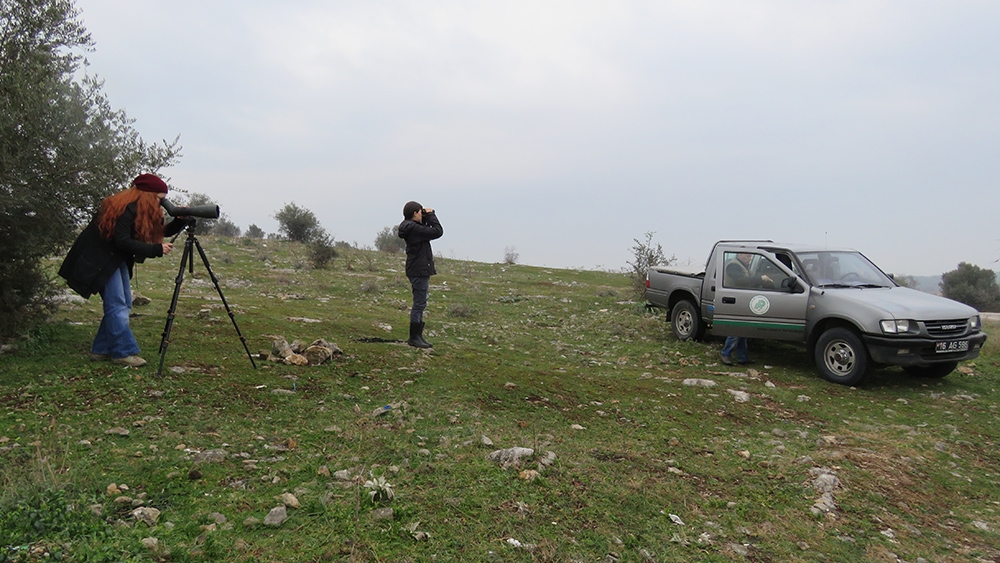 kosks--kis-ortasi-su-kusu-sayimlari--egitimi