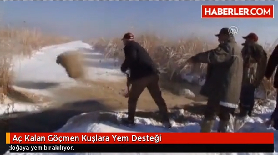 ac-kalan-gocmen-kuslara-yem-destegi