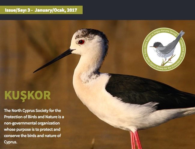 kuskor-ocak-bulteni-yayinda