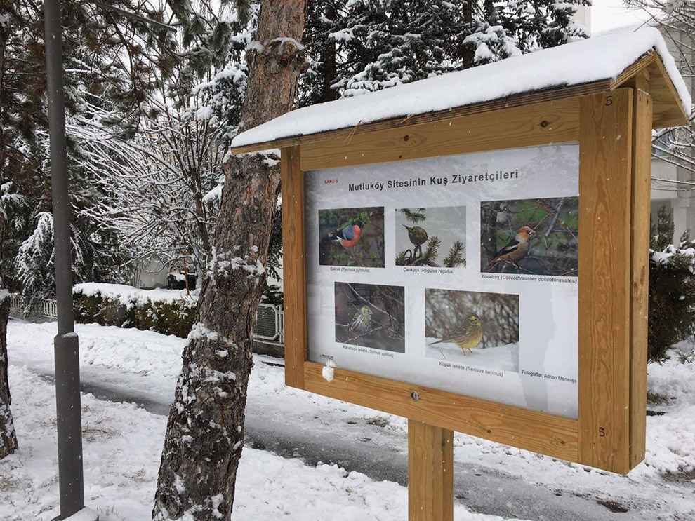 siteye-tanitici-kus-panolari