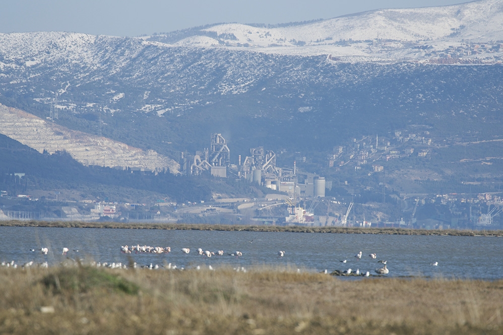 kus-oteli-hersek-lagunu-petrol-icinde