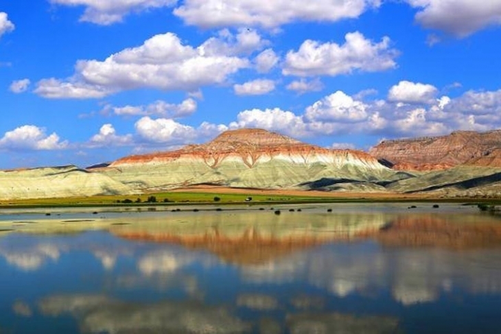 kus-cennetine-komur-santrali