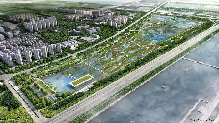 kuslar-icin-havaalani