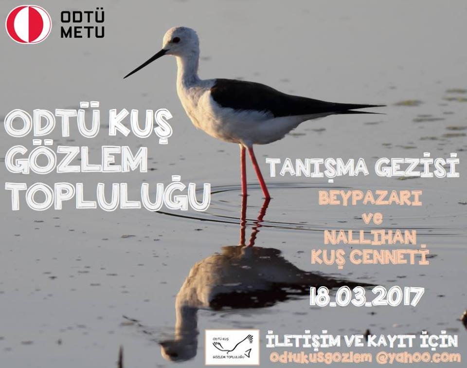 odtu-kus-gozlem-toplulugu---tanisma-gezisi
