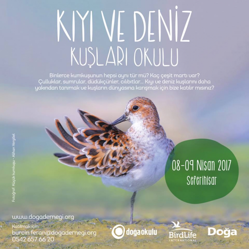 kiyi-ve-deniz-kuslari-okulu-8-9-nisan\da!