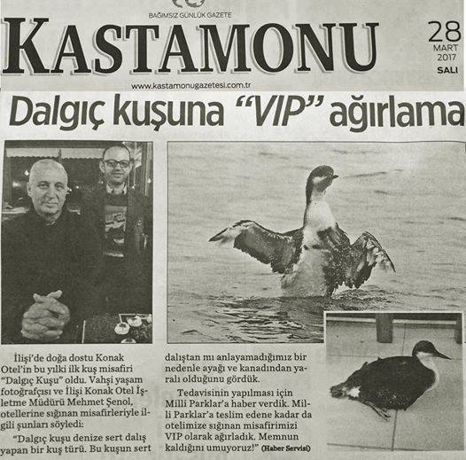 dalgic-icin-vip-agirlama