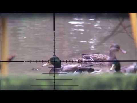 2017-2018-mak-toplantisi-dilekce-duyurusu