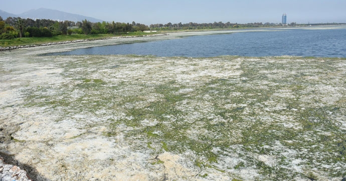 kuruyor!---flamingolar-basta-olmak-uzere-pek-cok-kusun-yuvasi!