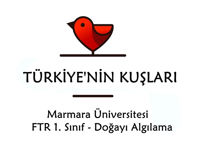 marmara-uni-ogrencileri-kuslari-taniyor-tanitiyor