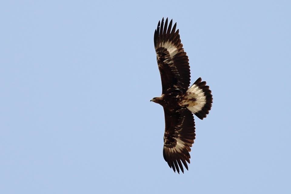 sultan-sazligi-10--foto-safari-yarismasi-tamamlandi