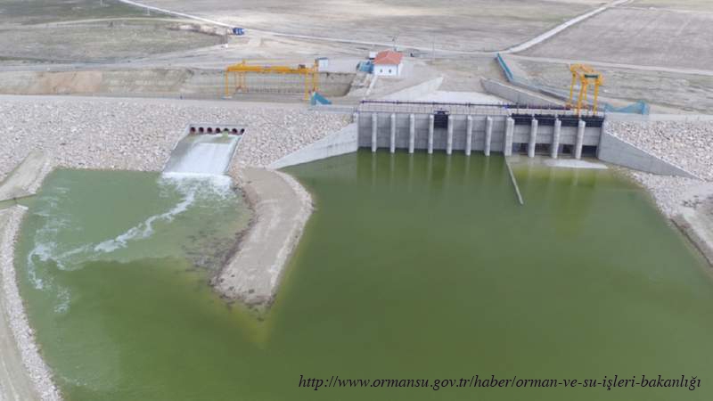 hotamis-ile-gocmen-kuslar-yuvaya-donecek