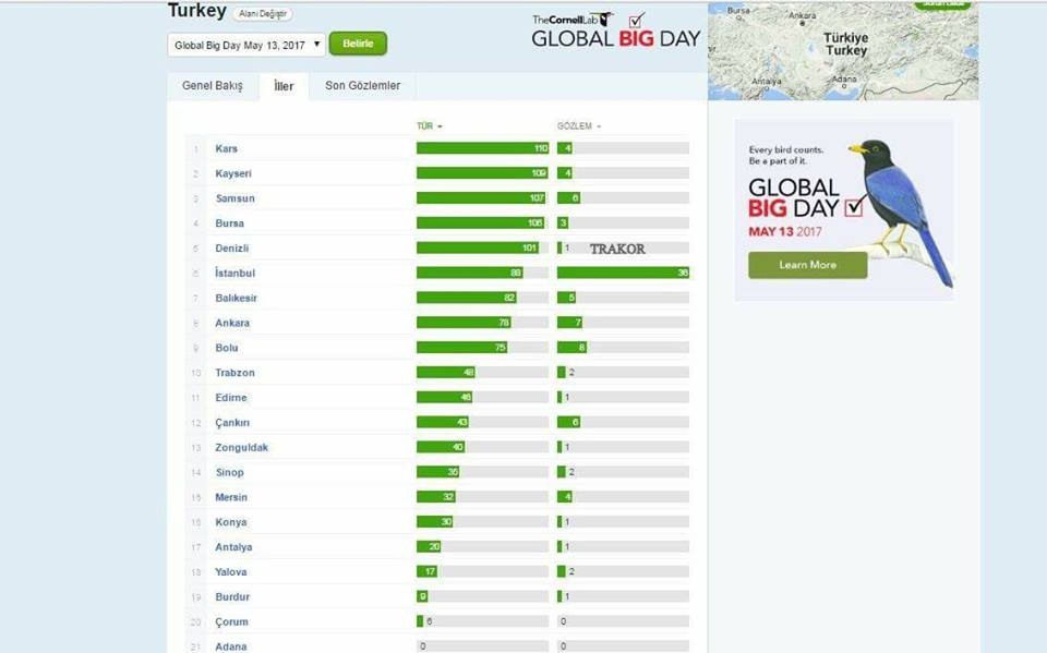 global-big-day-sonuclari